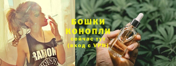 прущие грибы Балахна