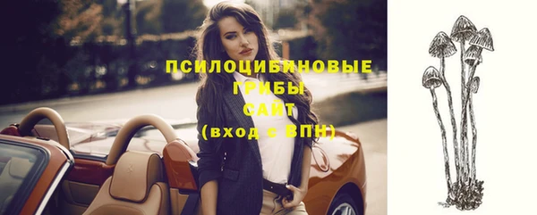 прущие грибы Балахна