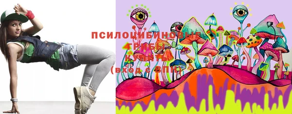 прущие грибы Балахна