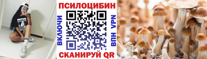 даркнет сайт  Заринск  Галлюциногенные грибы мицелий 